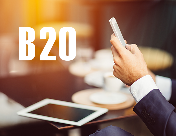 Magenta Answers Broker Questions About B20