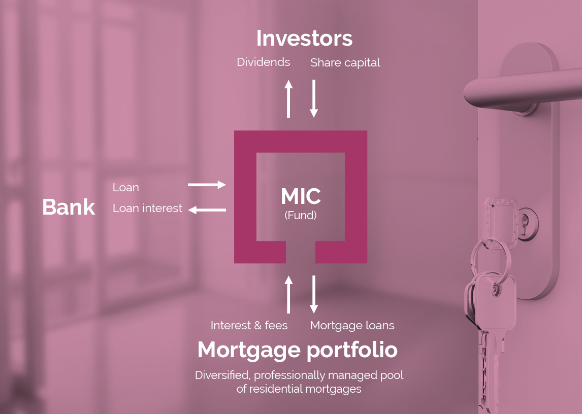 MIC Diagram